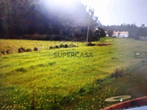 Terreno Rústico em Seixo de Gatões, Montemor-o-Velho
