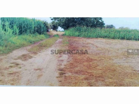 Terreno Rústico em Seixo de Gatões, Montemor-o-Velho