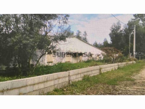 Terreno em Valongo do Vouga, Águeda