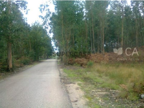 Lote em Oliveira do Bairro, Oliveira do Bairro