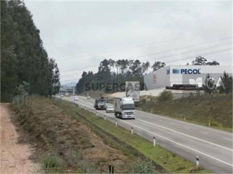 Terreno Urbano em Recardães e Espinhel, Águeda