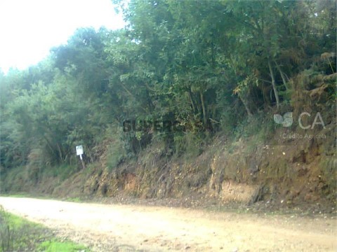 Terreno Urbano na Rua das Tabuletas, Águeda