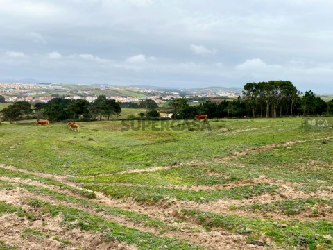 Quinta em União Freguesias Santa Maria, São Pedro e Matacães, Torres Vedras