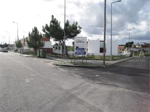 Lote 1