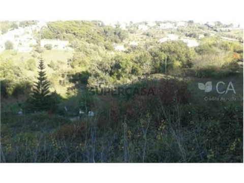 Terreno Urbano em Santa Clara e Castelo Viegas, Coimbra