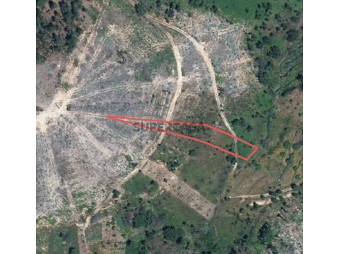 Terreno em Aldeia do Mato e Souto, Abrantes