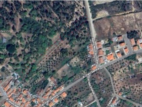 Terreno Rústico em Bairro Novo do Pinhal, São Miguel do Rio Torto e Rossio Ao Sul do Tejo