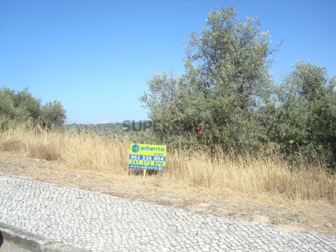 Lote Moradia em Abrantes (São Vicente e São João) e Alferrarede, Abrantes