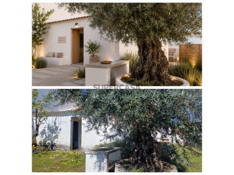 Casa na aldeia - PROJECTO APROVADO E PRONTO A CONSTRUIR