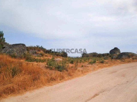 Terreno em São Martinho de Souto