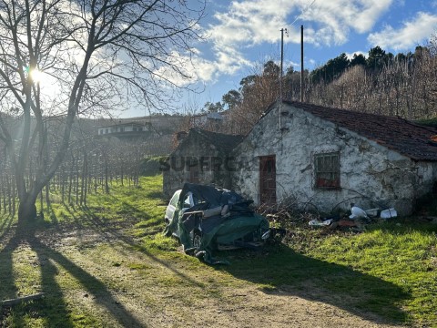 Casa antiga com Terreno