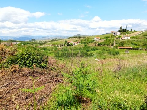 Lote em Lamego