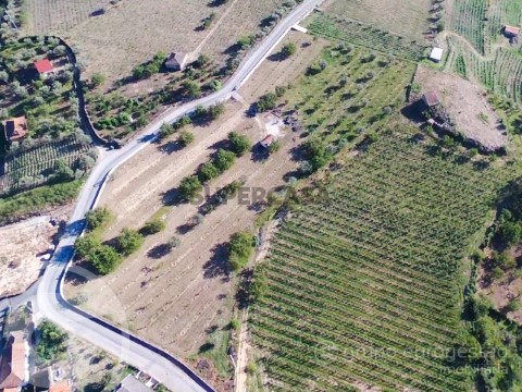Terreno em Várzea de Abrunhais, Lamego