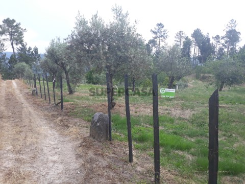 Terreno em Viseu