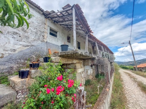 Casa de Campo Lamego