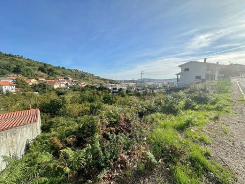 Lote em Lamego