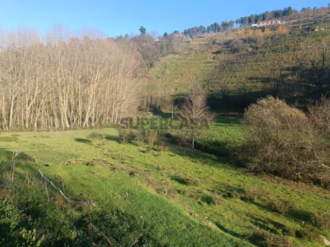 Terreno em Medelo, Lamego