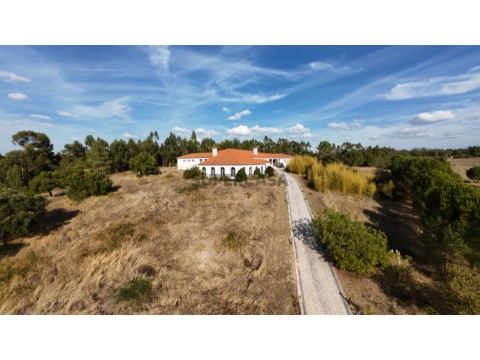 Herdade T5 em São Pedro de Tomar, Tomar