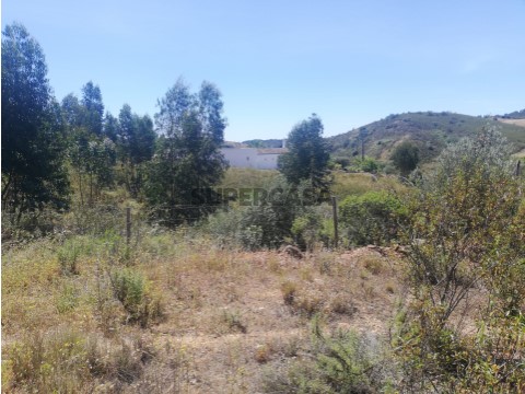 Extrema e vista vizinho