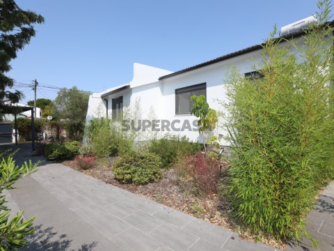 63_CintraPrestige