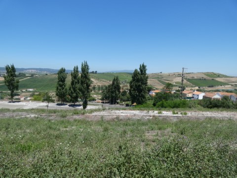 P1010440