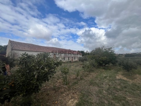 terreno-9670m2-pomar-estimado-bombarral