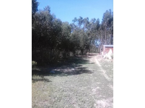 Terreno em São Bartolomeu dos Galegos e Moledo, Lourinhã