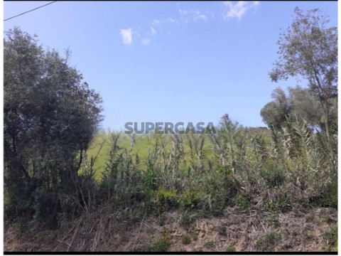 Terreno em Aldeia Galega da Merceana e Aldeia Gavinha, Alenquer