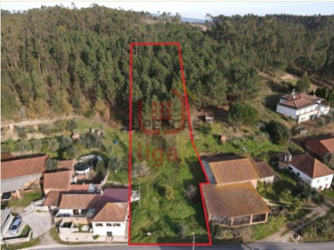 Terreno farrio
