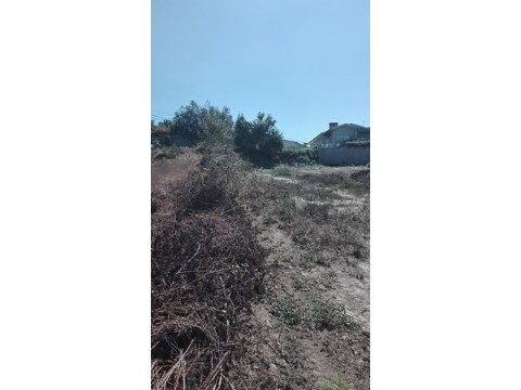 Terreno em Pinheiro da Bemposta