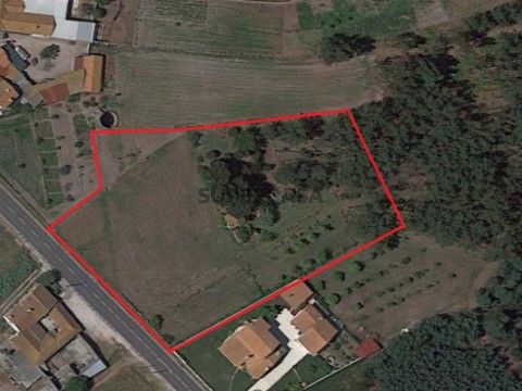Terreno para construção com furo e poço