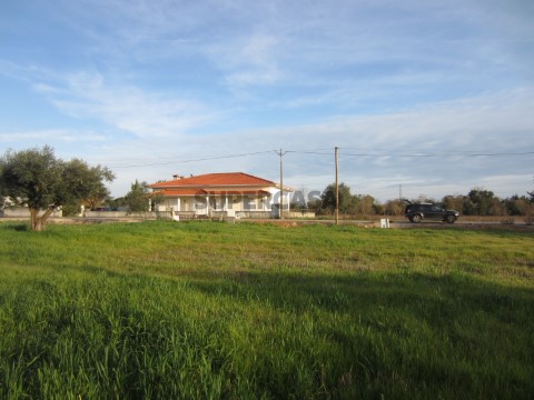 Terreno para construção Pena, Cantanhede