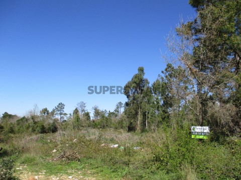 Terreno Condeixa