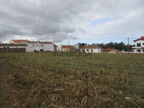 Terreno Urbano