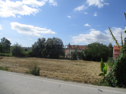 Terreno Condeixa