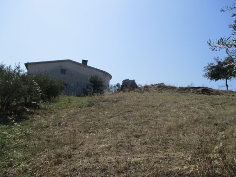 Terreno Soure