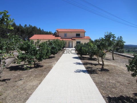 Entrada Principal
