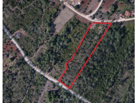 Terreno em Cernache