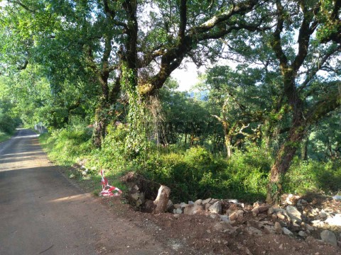 Terreno para Moradia em Cumeeira, Penela