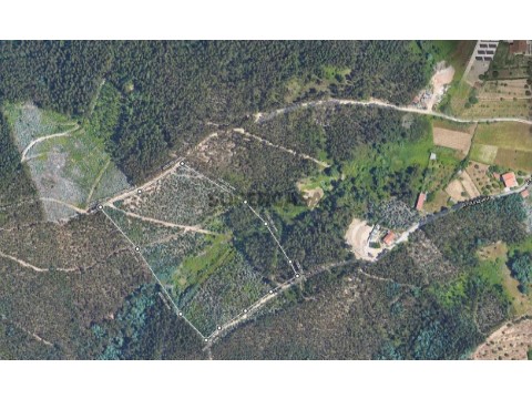 Capturar satelite