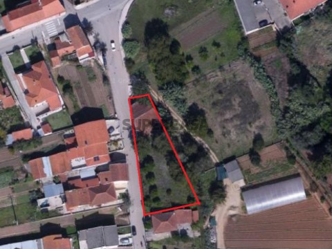 Moradia, Moinho e Terreno