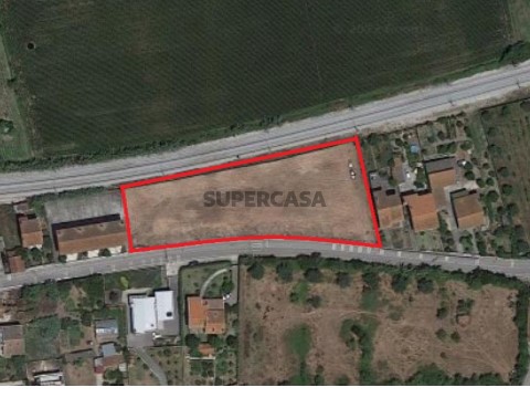 Terreno Pereira