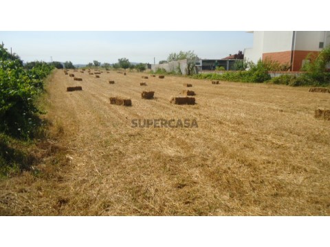Terreno na Venda da Luísa com 3400m2.
