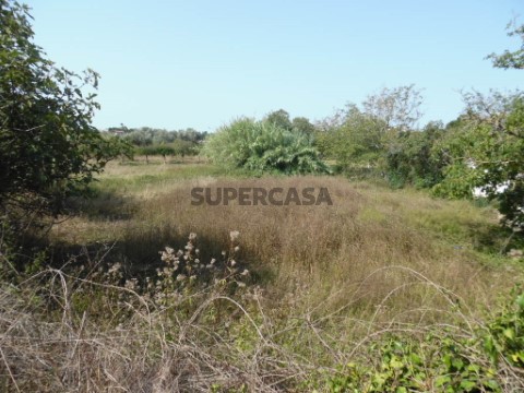 Terreno Cernache