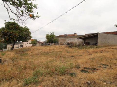 Terreno Avenal