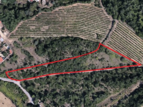 Terreno Condeixa