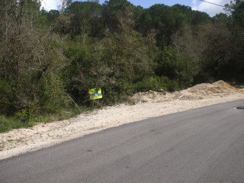 Terreno Bom Velho