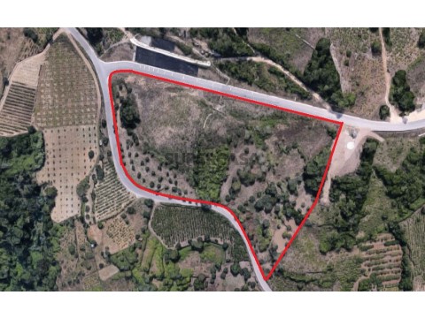 Terreno com 2 hectares em Coimbra