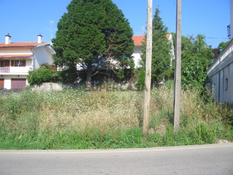 Terreno Carvalhais