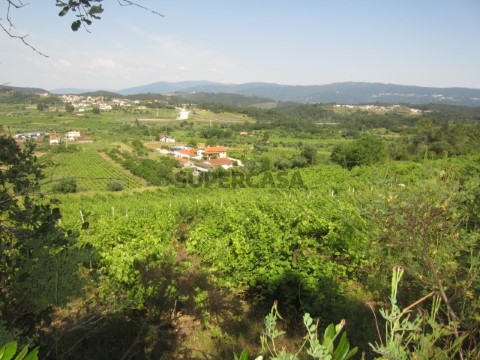 Terreno Miranda do Corvo